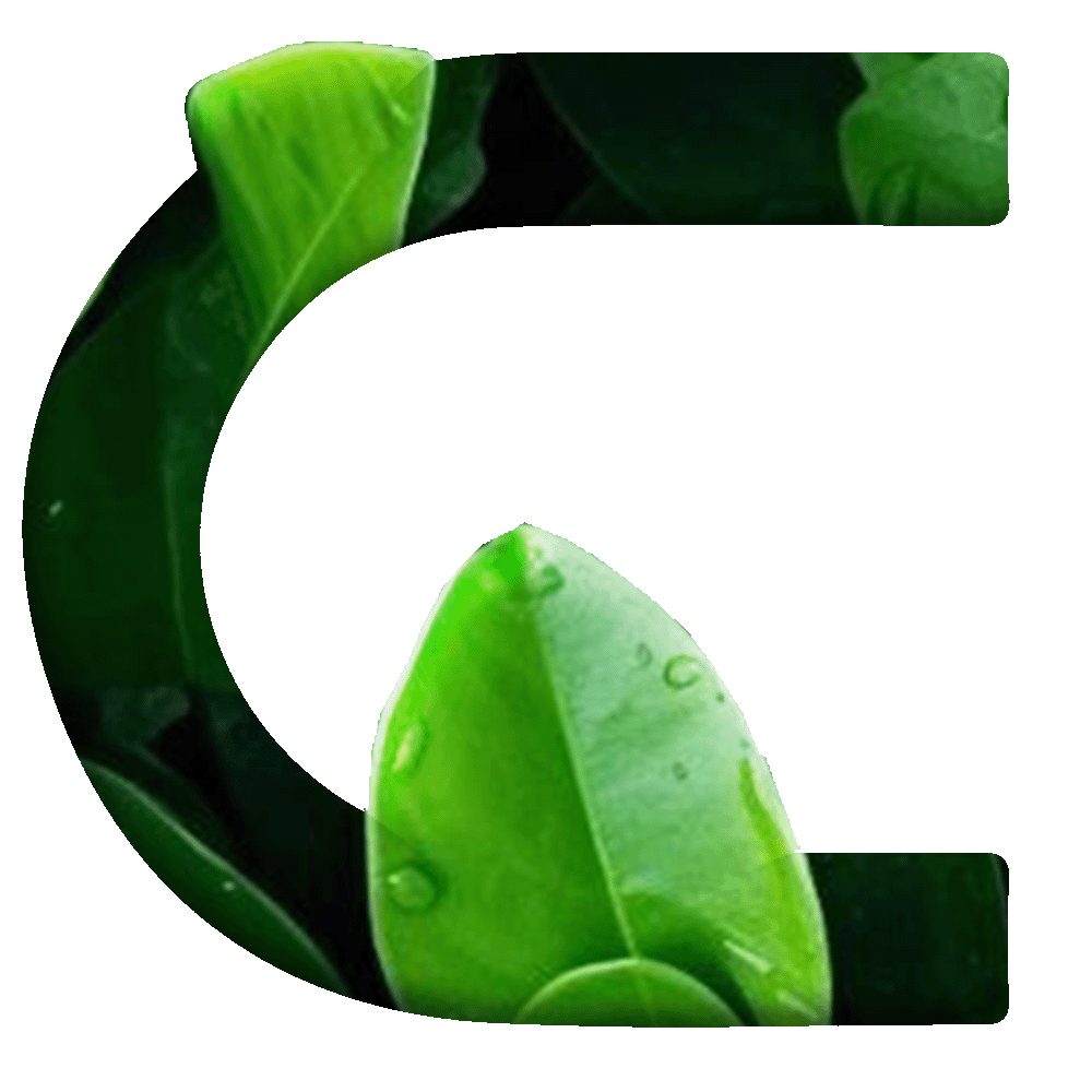 C (1)