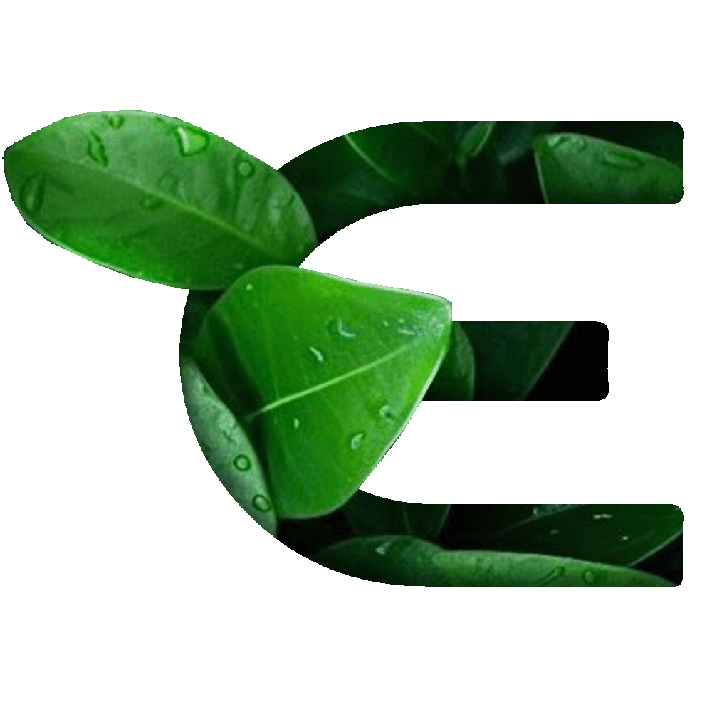 e (1)