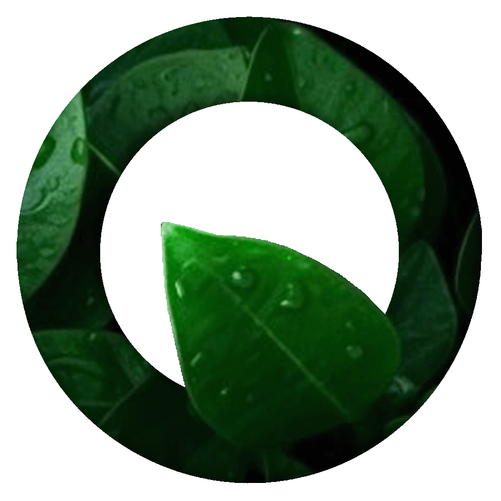 o (1)